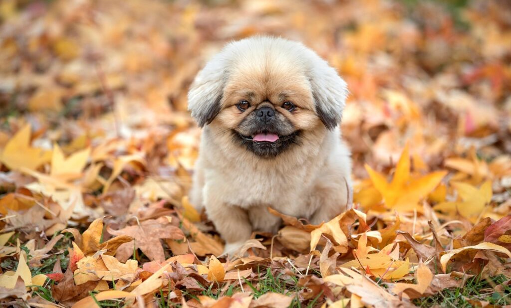 アベンヌウォーター効果は本当に肌に良いのか？