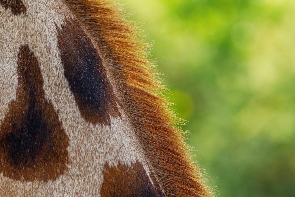 乳液は敏感肌の乾燥にどう使い分ければいい？