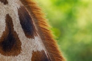 乳液は敏感肌の乾燥にどう使い分ければいい？