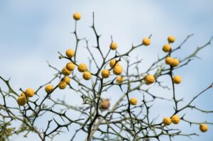 敏感肌の40代が乾燥による湿疹を防ぐ方法は？