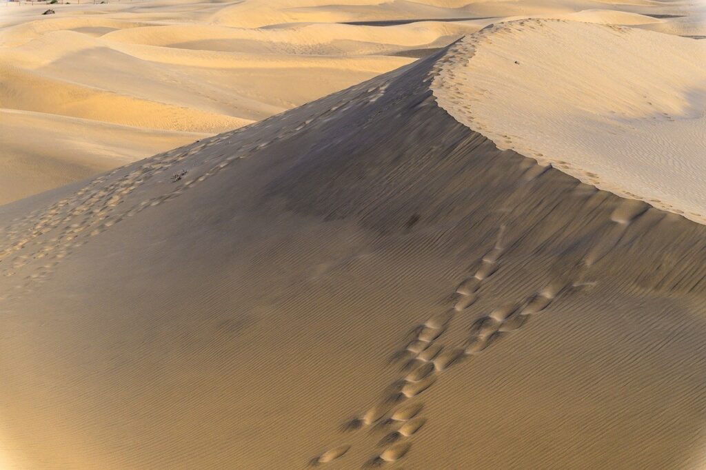 乾燥敏感肌の40代が肘と膝の乾燥ケアにおすすめの方法は？