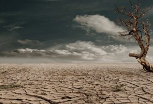乾燥敏感肌と40代の方がシミと乾燥を同時にケアする方法は？