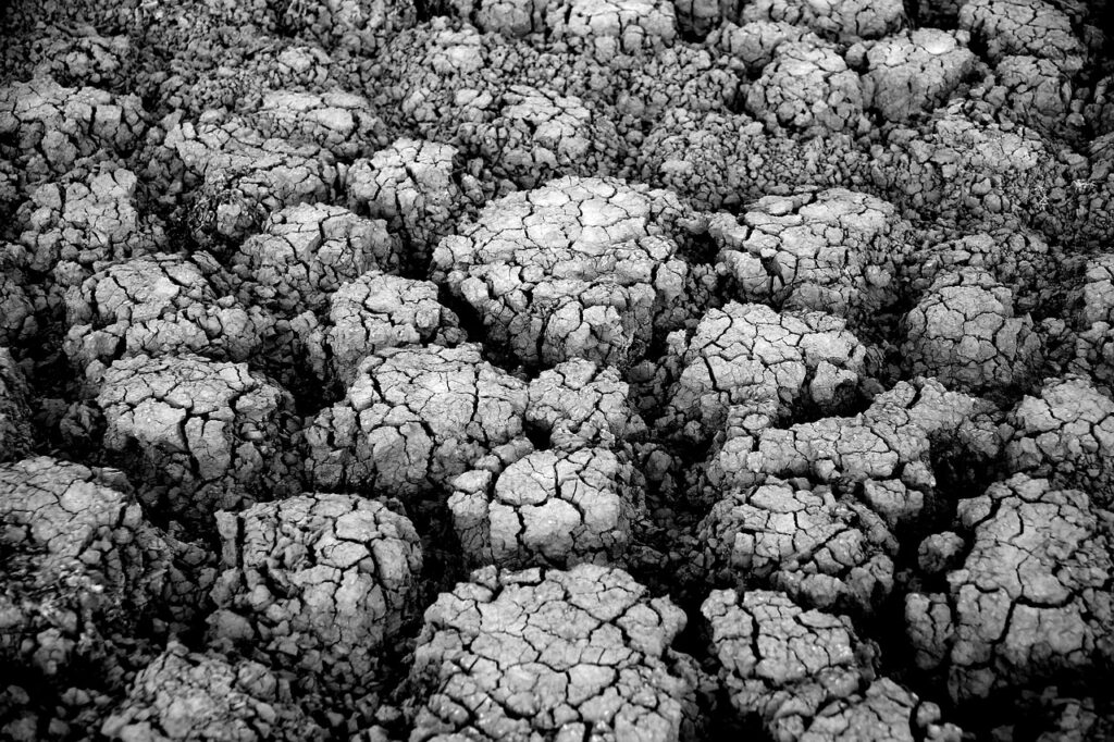 乾燥敏感肌の40代がフェイスマッサージで乾燥悪化を防ぐ方法は？